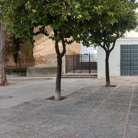 شقة Casa Mnuela - Centro Jerez - Parking Opcional جيريز المظهر الخارجي الصورة