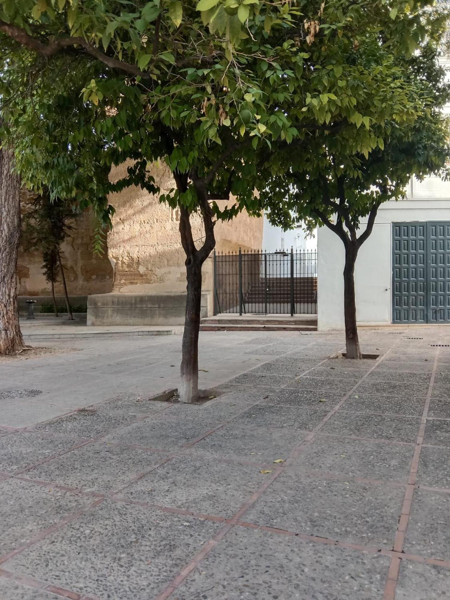 شقة Casa Mnuela - Centro Jerez - Parking Opcional جيريز المظهر الخارجي الصورة